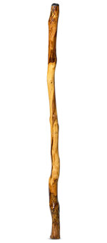 Peter Sherwood Didgeridoo (NV126)